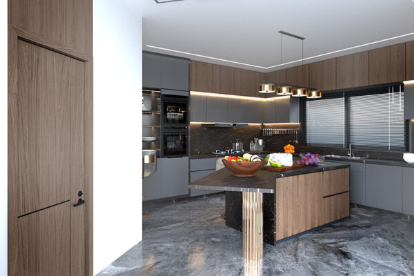 DUPLEX23 DUPLEX23