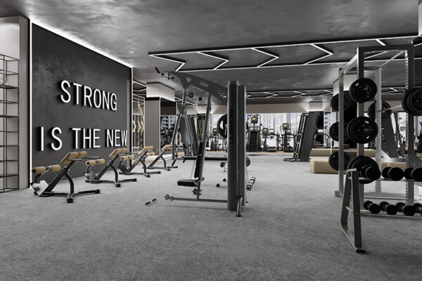 GYM-2 GYM-2