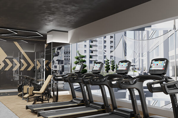 GYM-3 GYM-3