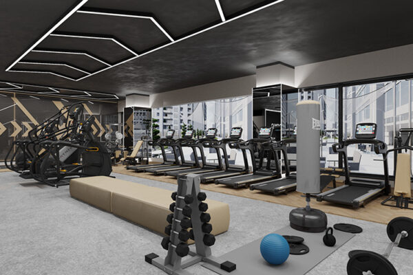 gym--01 gym--01
